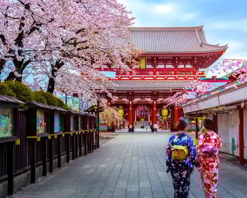 two-geishas-wearing-traditional-japanese-kimono-among-sensoji-temple-in