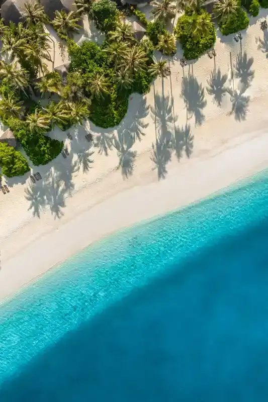 perfect-palm-trees-shadow-on-sandy-beach--turquoise-ocean-waves